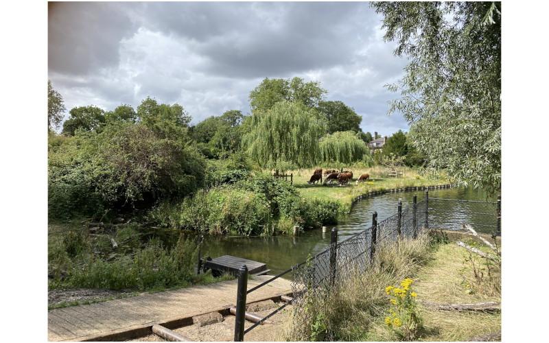 Saturday walk along the Grantchester meadows | ©Pia Shekhter